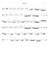 download the accordion score Sleifer in PDF format