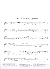 télécharger la partition d'accordéon Turkey in the straw au format PDF