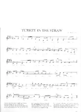 descargar la partitura para acordeón Turkey in the straw en formato PDF