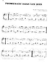 download the accordion score Promenade dans les bois    in PDF format