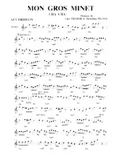 download the accordion score Mon gros minet (Cha Cha) in PDF format