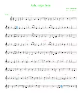 scarica la spartito per fisarmonica Ach mijn Arie (Arrangement : Luc Markey) (Valse) in formato PDF
