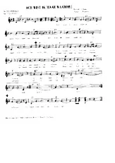 scarica la spartito per fisarmonica Ach wist ik maar waarom (Interprète : De Heikrekels) (Boléro) in formato PDF