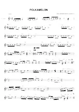 download the accordion score Polkamelon in PDF format
