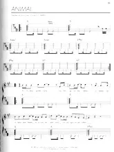 download the accordion score Animal in PDF format