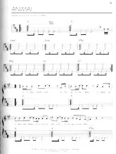 descargar la partitura para acordeón Animal en formato PDF