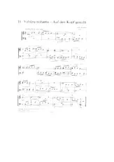 download the accordion score Auf dem Kopf gestellt in PDF format