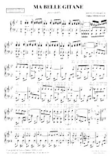 download the accordion score Ma belle gitane (Paso Doble) in PDF format