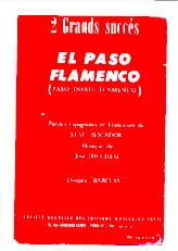 download the accordion score El paso flamenco (Orchestration) (Paso Doble Flamenco) in PDF format