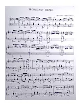 download the accordion score Sunny Shore  (Sloneczny Brzeg)  (Tango) in PDF format