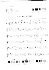 download the accordion score Divers Succès (9 Titres) (Relevés) in PDF format