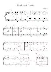 download the accordion score Condessa de Aragão in PDF format