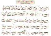 download the accordion score Brasileirinho (Samba) (Partition Manuscrite)  in PDF format