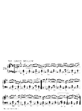 télécharger la partition d'accordéon The green Meadow (Reel) au format PDF
