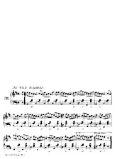 descargar la partitura para acordeón The Wild Irishman (Reel) en formato PDF