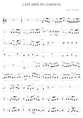 download the accordion score C'est dans les chansons (Relevé) in PDF format