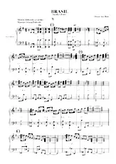 download the accordion score Brasil (Samba-Choro) (Accordéon) in PDF format