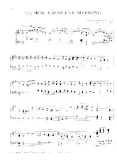 download the accordion score Lo, how a rose e'er blooming (Arrangement : Fred Bock) (Chant de Noël) in PDF format