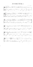 scarica la spartito per fisarmonica Bummel Petrus (Arrangement : Coen van Orsouw) (Polka) in formato PDF