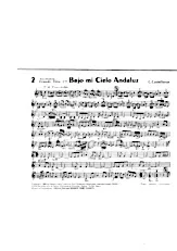 download the accordion score Bajo mi Cielo Andaluz (Ciel Andalou) (Paso doble) (pour accordéon) in PDF format