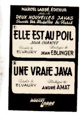 télécharger la partition d'accordéon Une vraie java (Orchestration) au format PDF