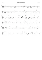 download the accordion score Schwarzerdner in PDF format