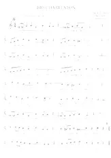 descargar la partitura para acordeón Big charleston en formato PDF