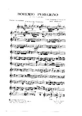 download the accordion score BOHEMIO PEREGRINO in PDF format