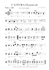 descargar la partitura para acordeón CATTURA Diatonisch en formato PDF