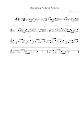descargar la partitura para acordeón Mazurka schön, schön en formato PDF