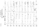 télécharger la partition d'accordéon LE DANSEUR DE CHARLESTON au format PDF