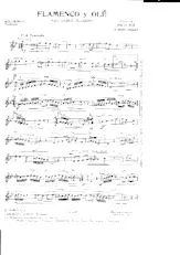 download the accordion score Flamenco y olé in PDF format