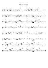 scarica la spartito per fisarmonica Schaatsenrijder in formato PDF