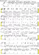 scarica la spartito per fisarmonica Passacaglia g-moll / Passacaglia en sol mineur (Piano) in formato PDF