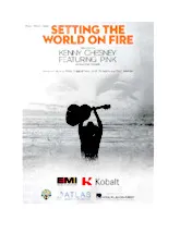 download the accordion score Setting the world on fire in PDF format